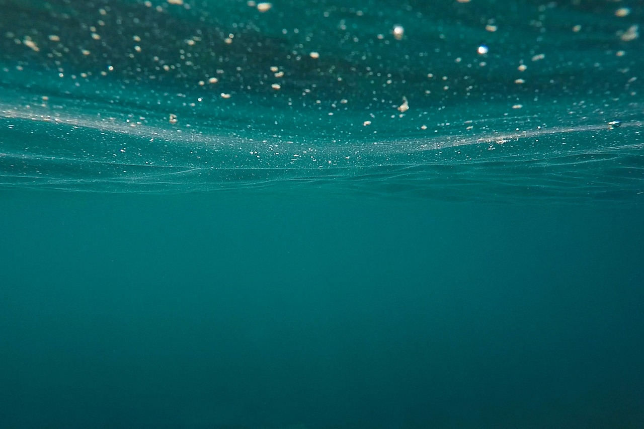 Fondo de Pantalla de pixabay_1845110.jpg