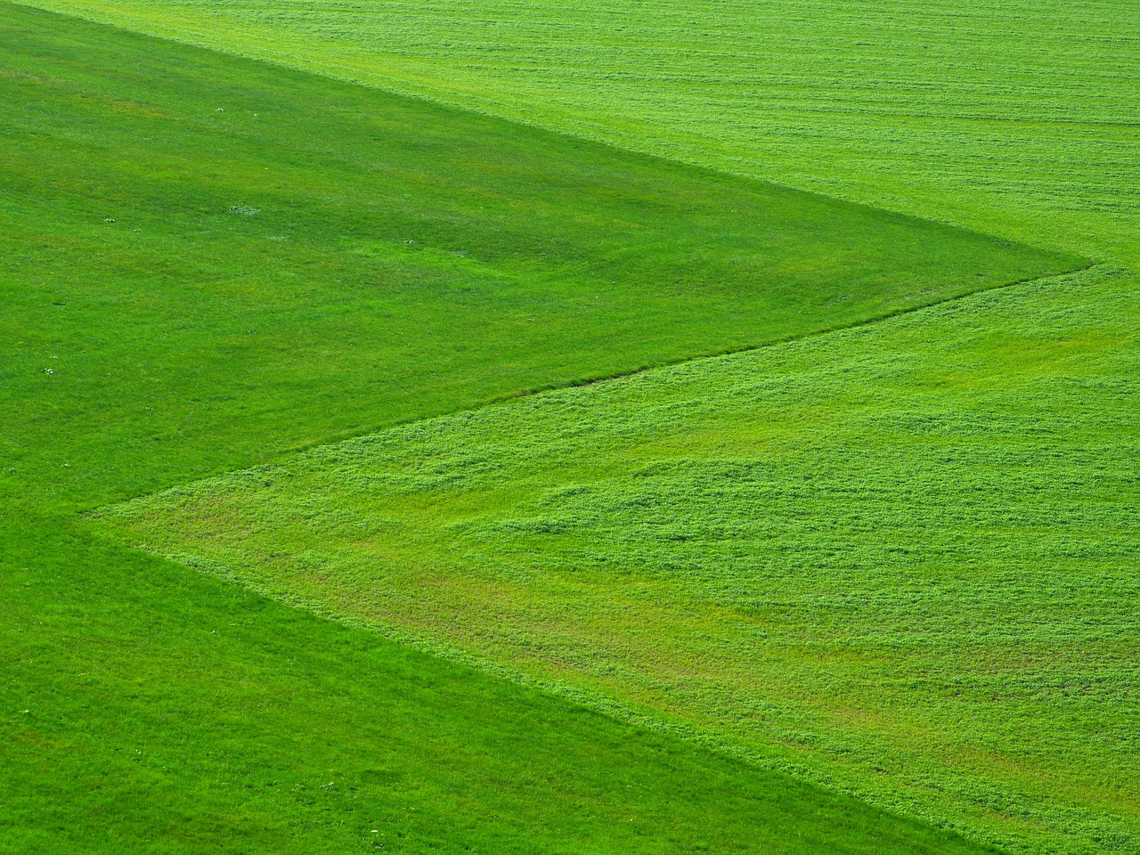 Fondo de Pantalla de pixabay_196567.jpg