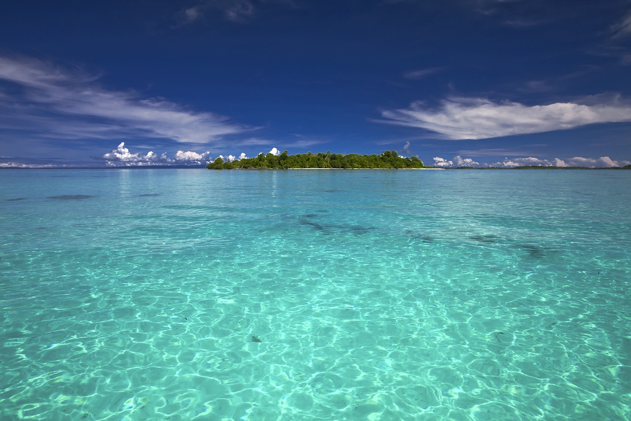 Fondo de Pantalla de pixabay_2124089.jpg