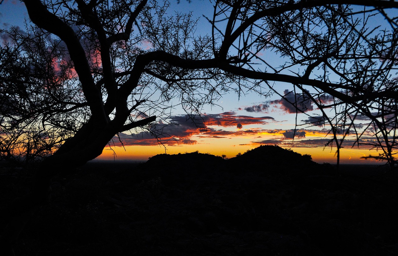 Fondo de Pantalla de pixabay_2179816.jpg
