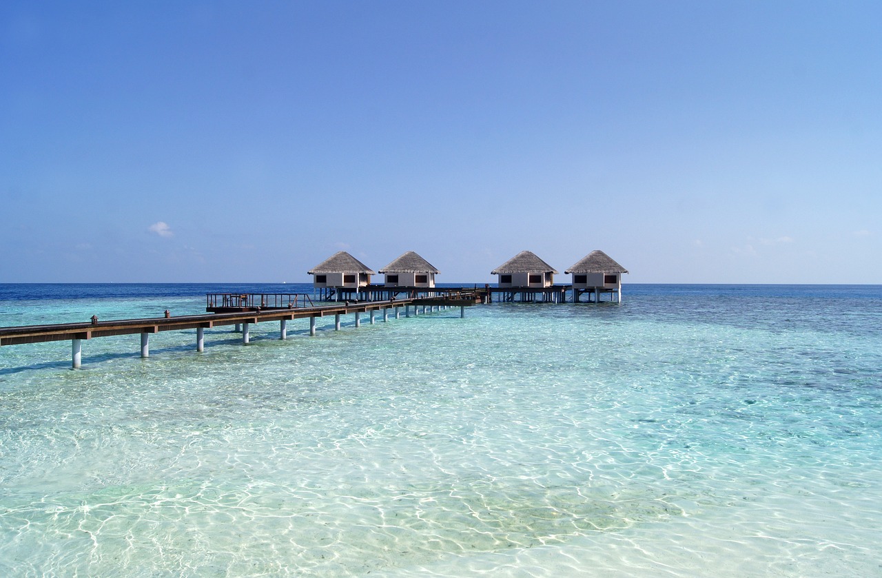 Fondo de Pantalla de pixabay_2190384.jpg