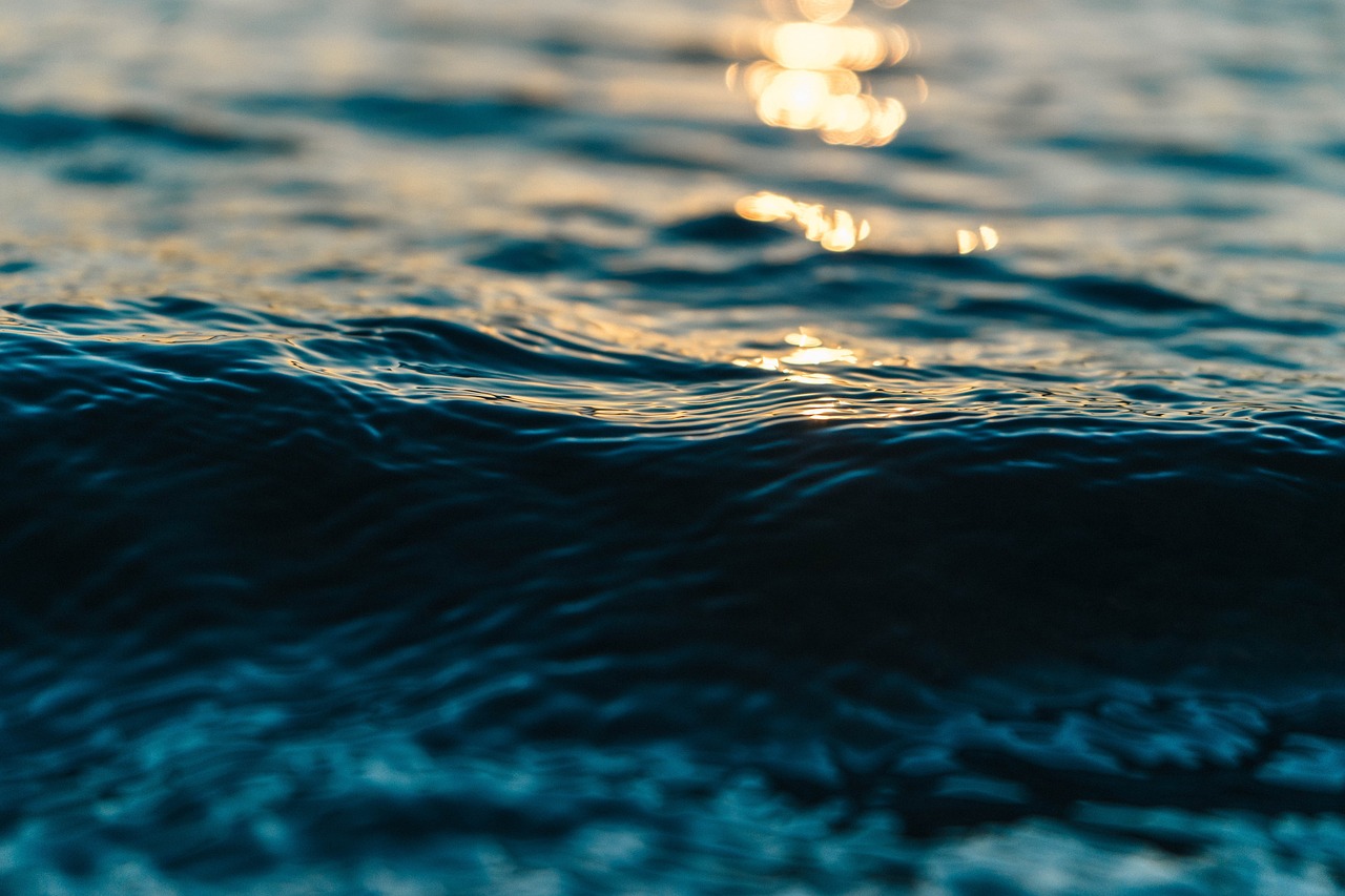 Fondo de Pantalla de pixabay_2208931.jpg