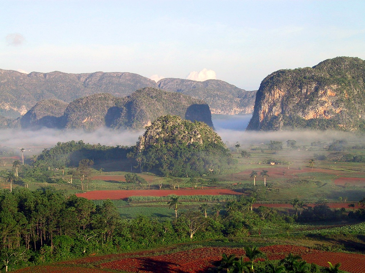 Fondo de Pantalla de pixabay_229356.jpg