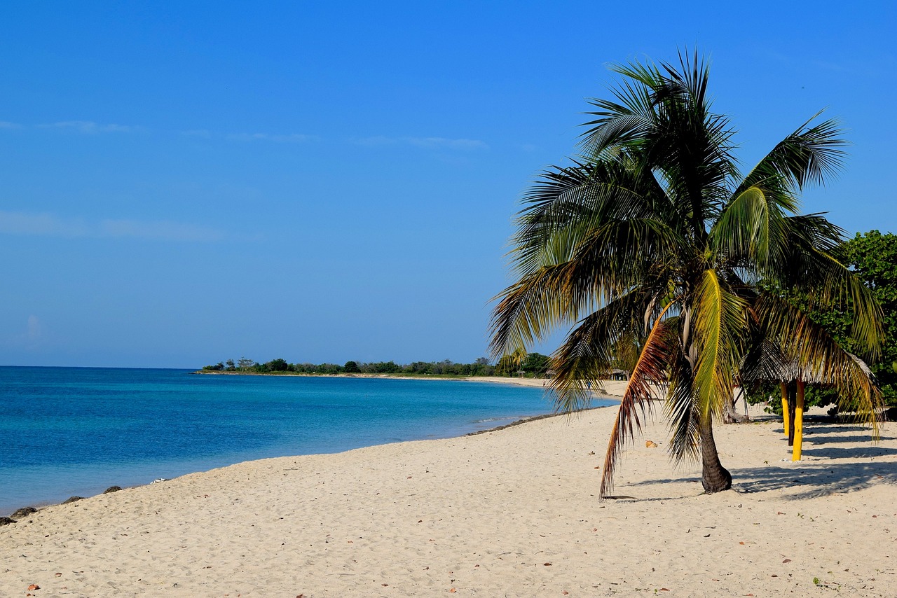 Fondo de Pantalla de pixabay_2356300.jpg
