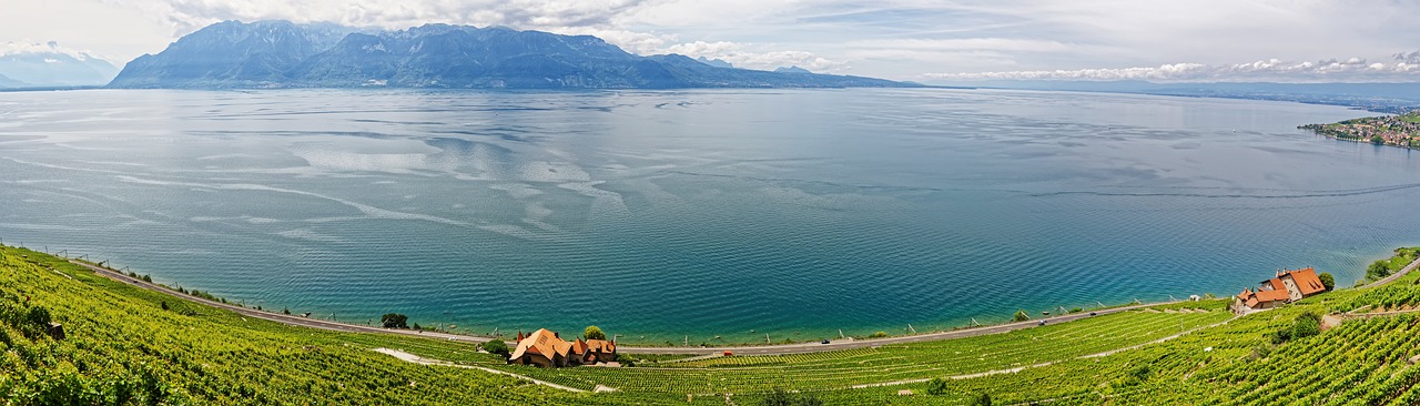 Fondo de Pantalla de pixabay_2379789.jpg