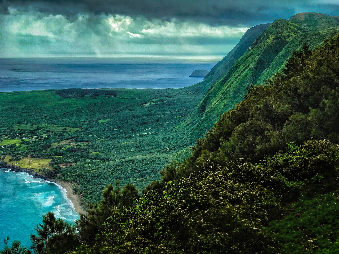 Fondo de Pantalla de pixabay_2391242.jpg