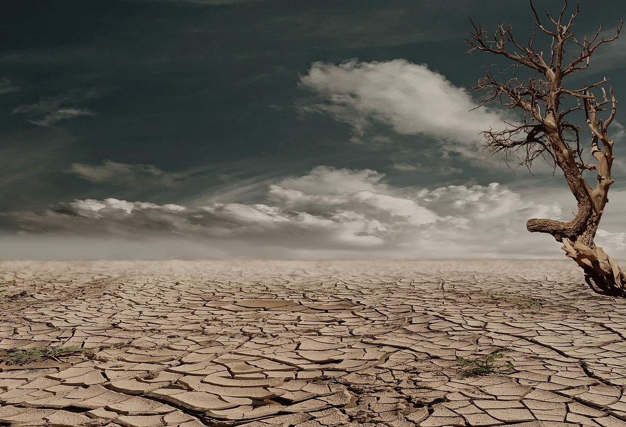 Fondo de Pantalla de pixabay_279862.jpg