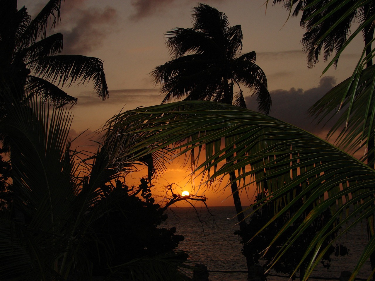 Fondo de Pantalla de pixabay_291021.jpg