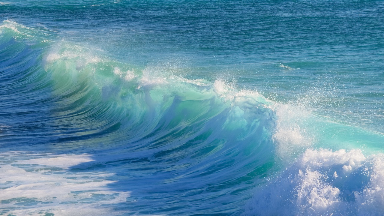 Fondo de Pantalla de pixabay_3104869.jpg