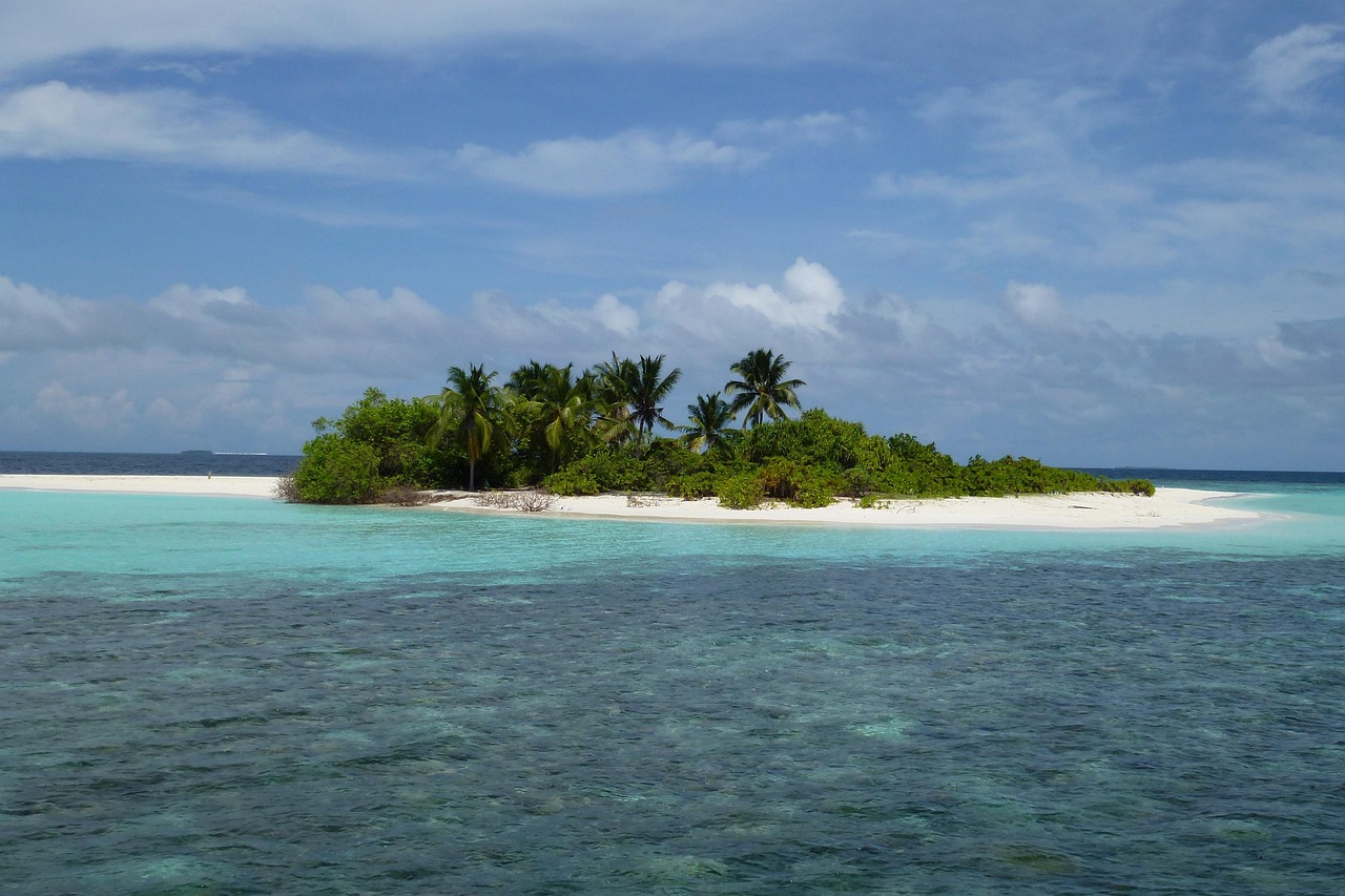 Fondo de Pantalla de pixabay_361386.jpg