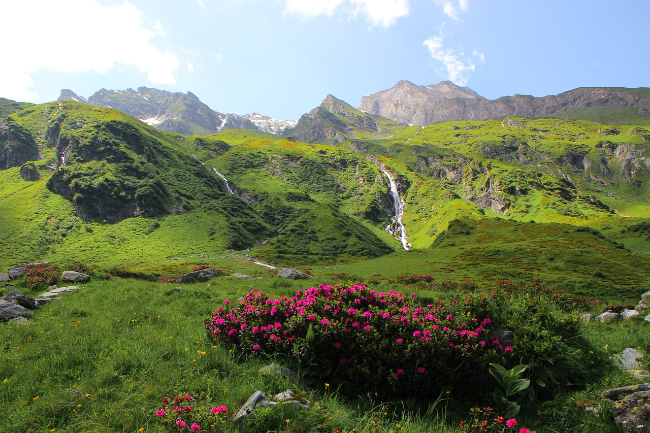 Fondo de Pantalla de pixabay_3621517.jpg