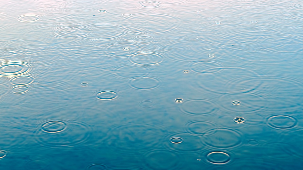Fondo de Pantalla de pixabay_3629132.jpg