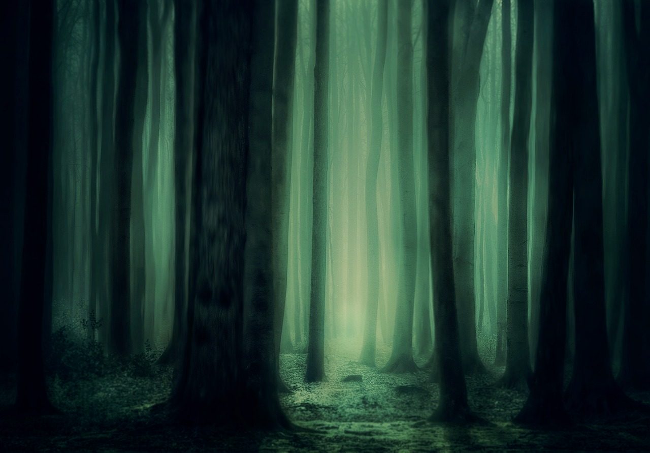 Fondo de Pantalla de pixabay_3877365.jpg