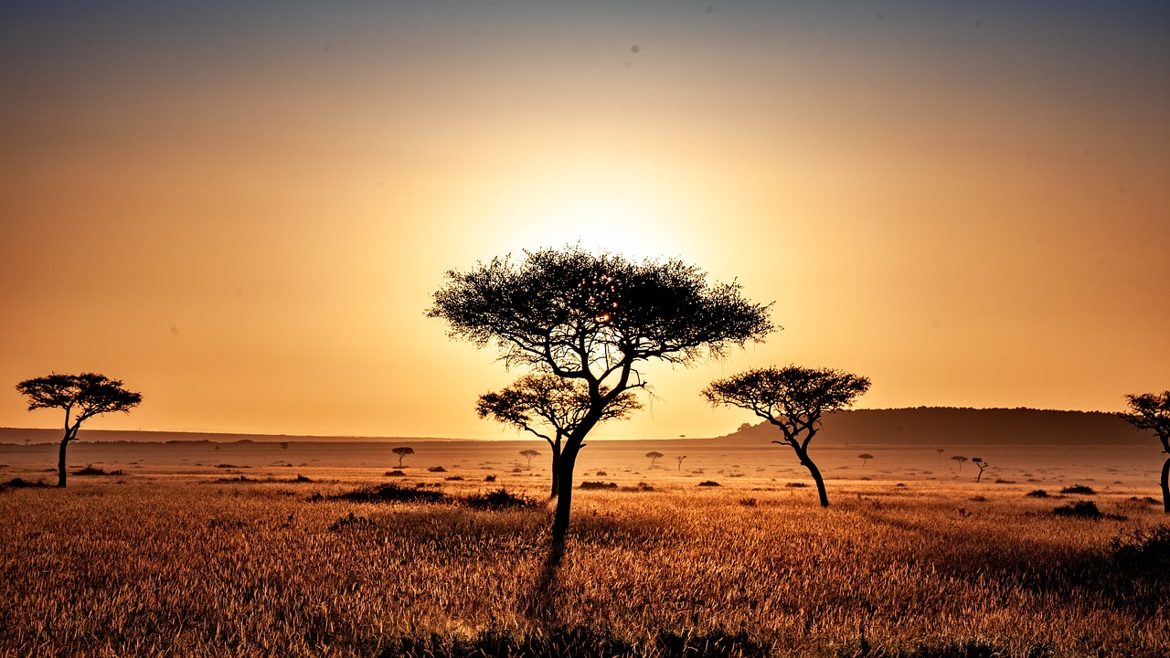 Fondo de Pantalla de pixabay_4119572.jpg