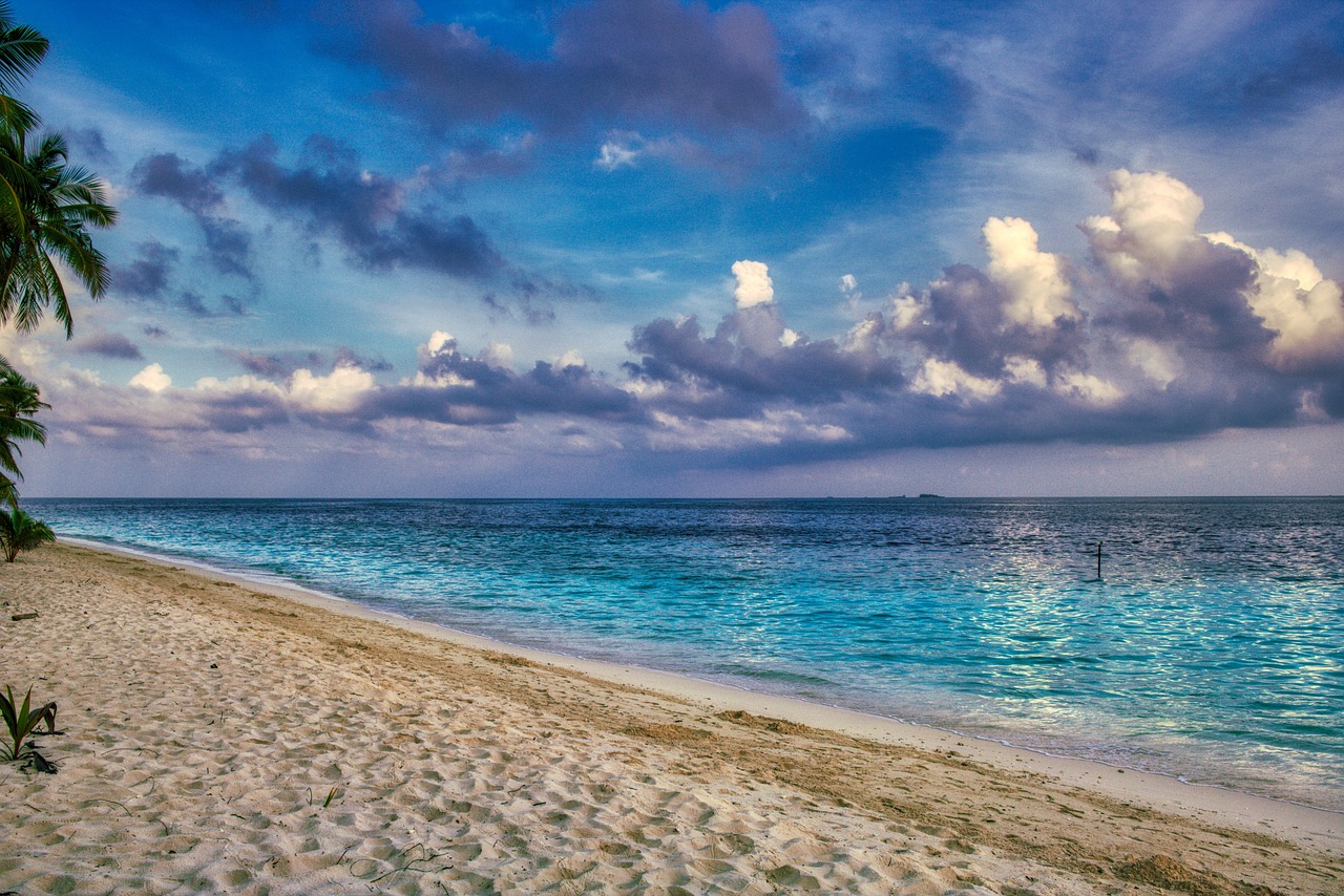 Fondo de Pantalla de pixabay_4455224.jpg