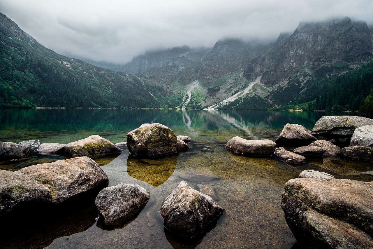 Fondo de Pantalla de pixabay_4473760.jpg
