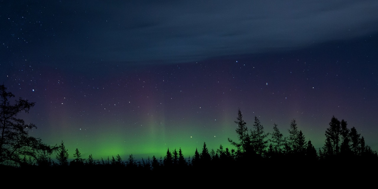 Fondo de Pantalla de pixabay_4685147.jpg