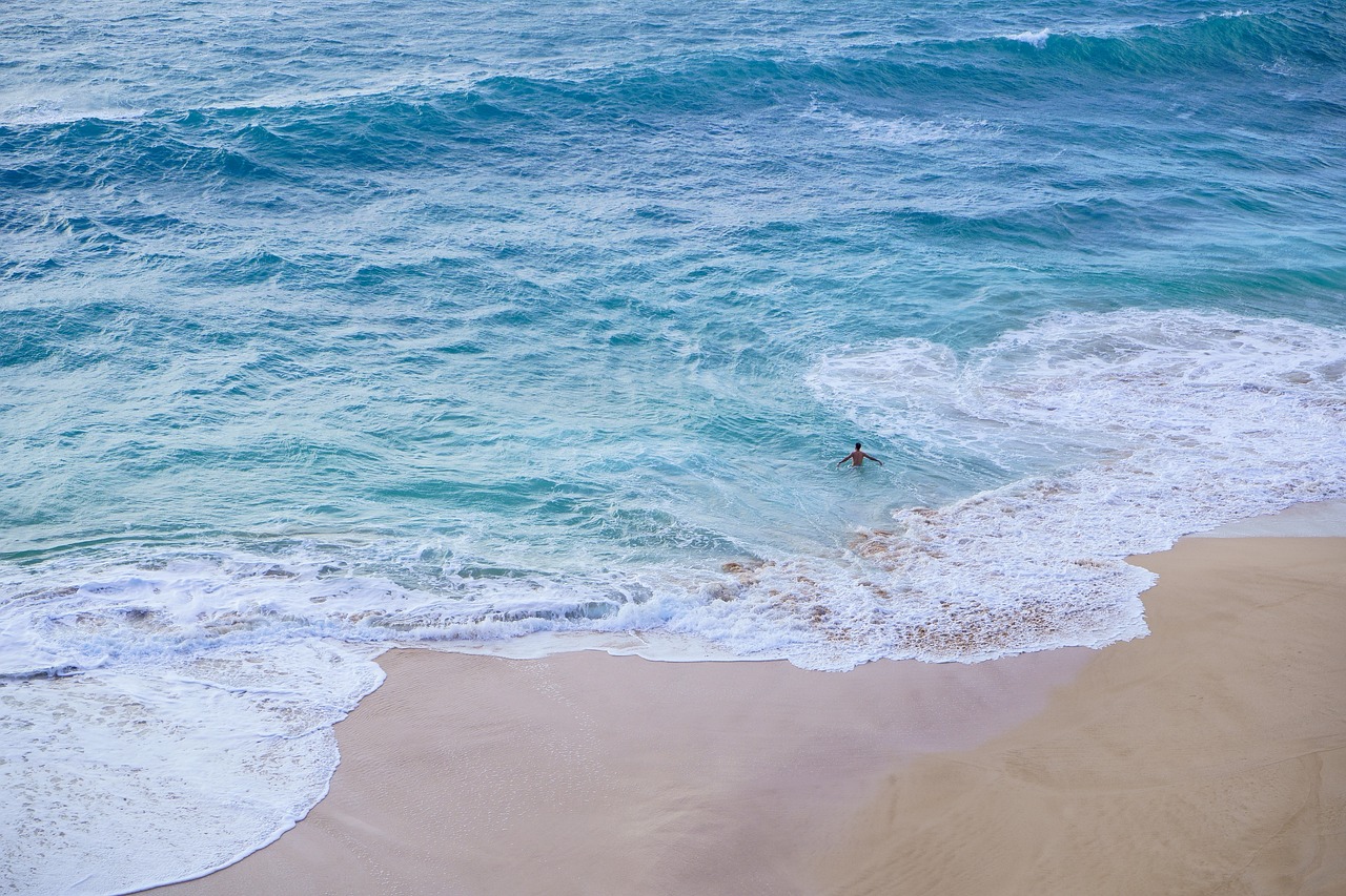 Fondo de Pantalla de pixabay_4923130.jpg