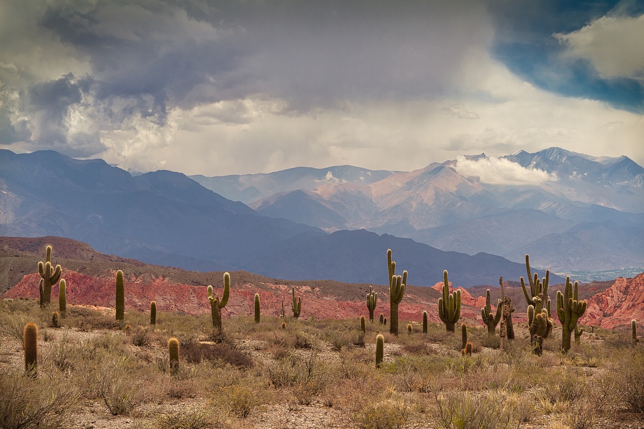 Fondo de Pantalla de pixabay_4931366.jpg