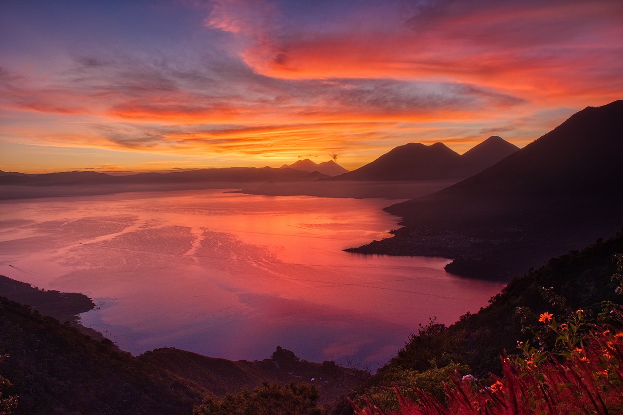 Fondo de Pantalla de pixabay_4987384.jpg