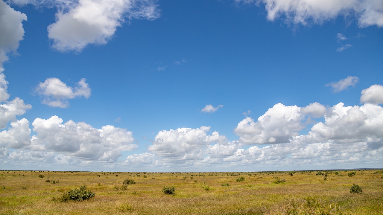 Fondo de Pantalla de pixabay_5053713.jpg