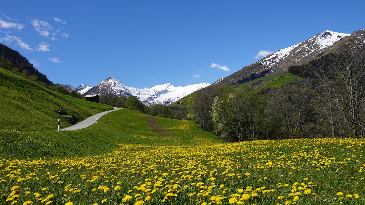 Fondo de Pantalla de pixabay_5129687.jpg