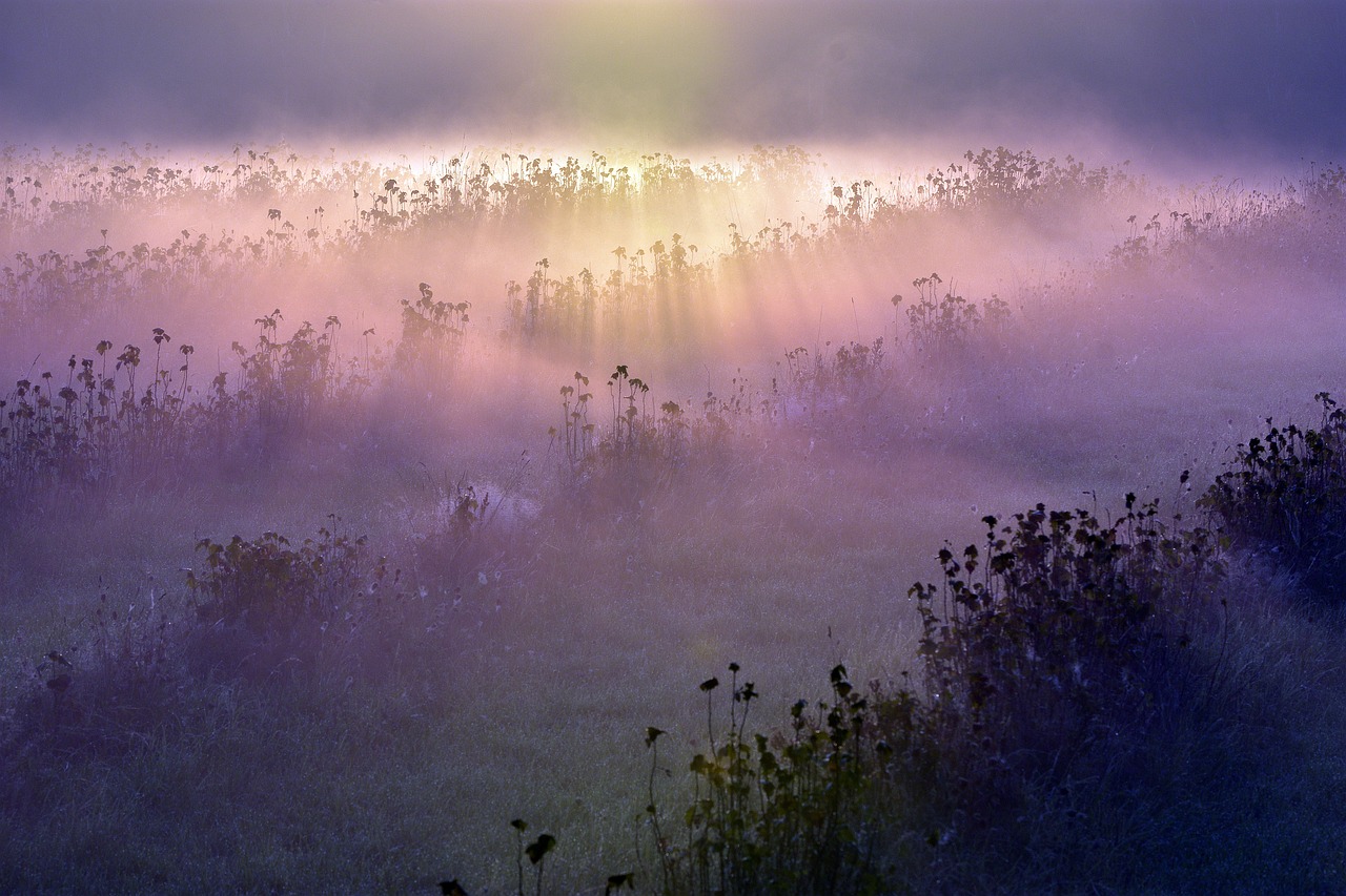 Fondo de Pantalla de pixabay_5567840.jpg