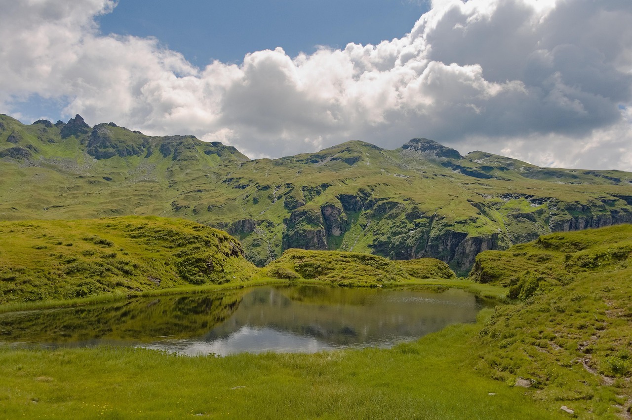 Fondo de Pantalla de pixabay_5582063.jpg
