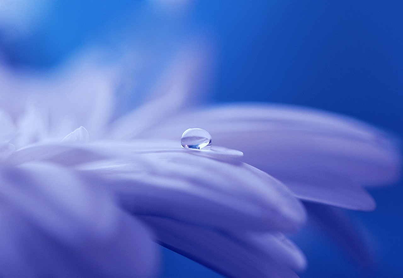 Fondo de Pantalla de pixabay_571956.jpg