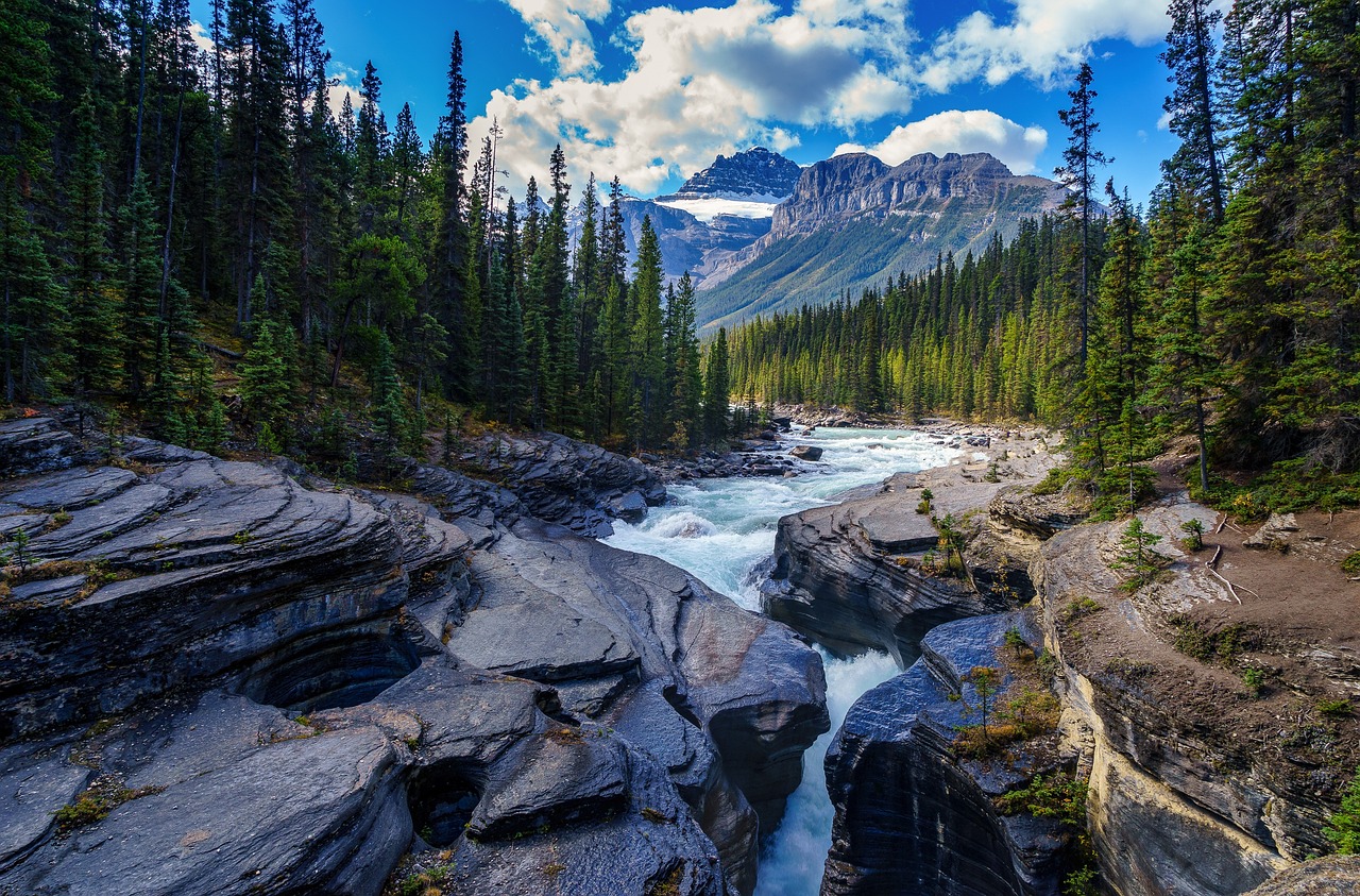 Fondo de Pantalla de pixabay_5765785.jpg