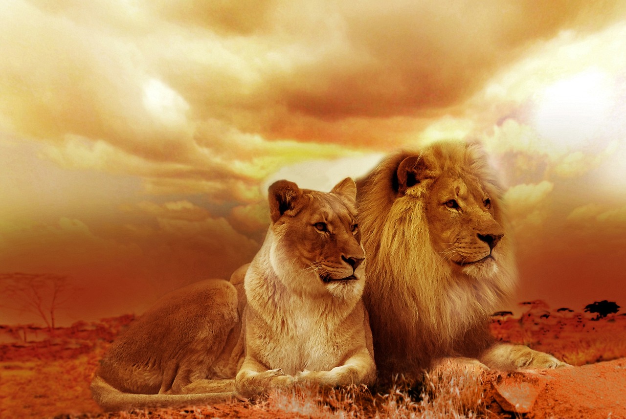 Fondo de Pantalla de pixabay_577104.jpg
