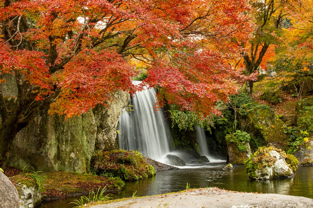 Fondo de Pantalla de pixabay_5873630.jpg