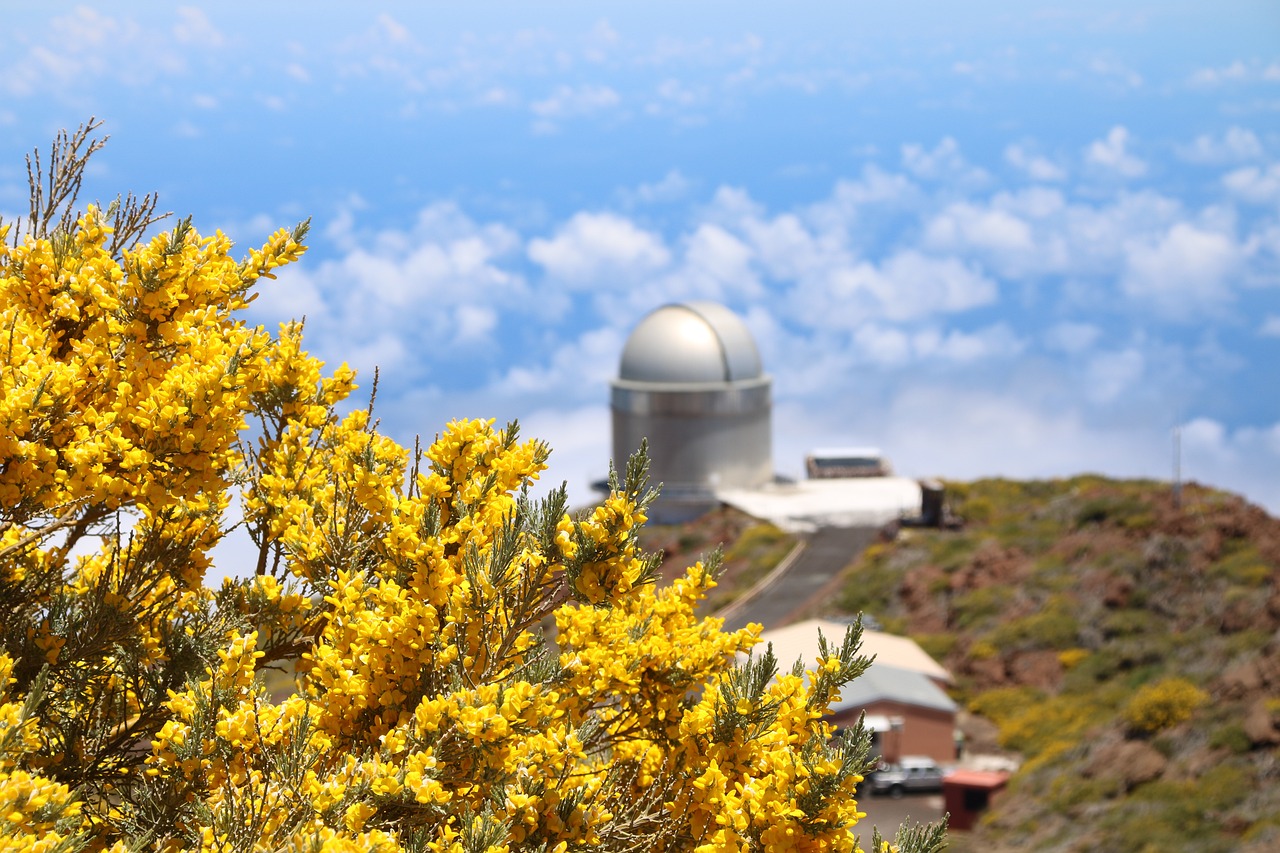 Fondo de Pantalla de pixabay_6020638.jpg