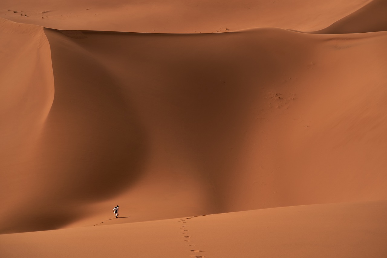 Fondo de Pantalla de pixabay_6262547.jpg