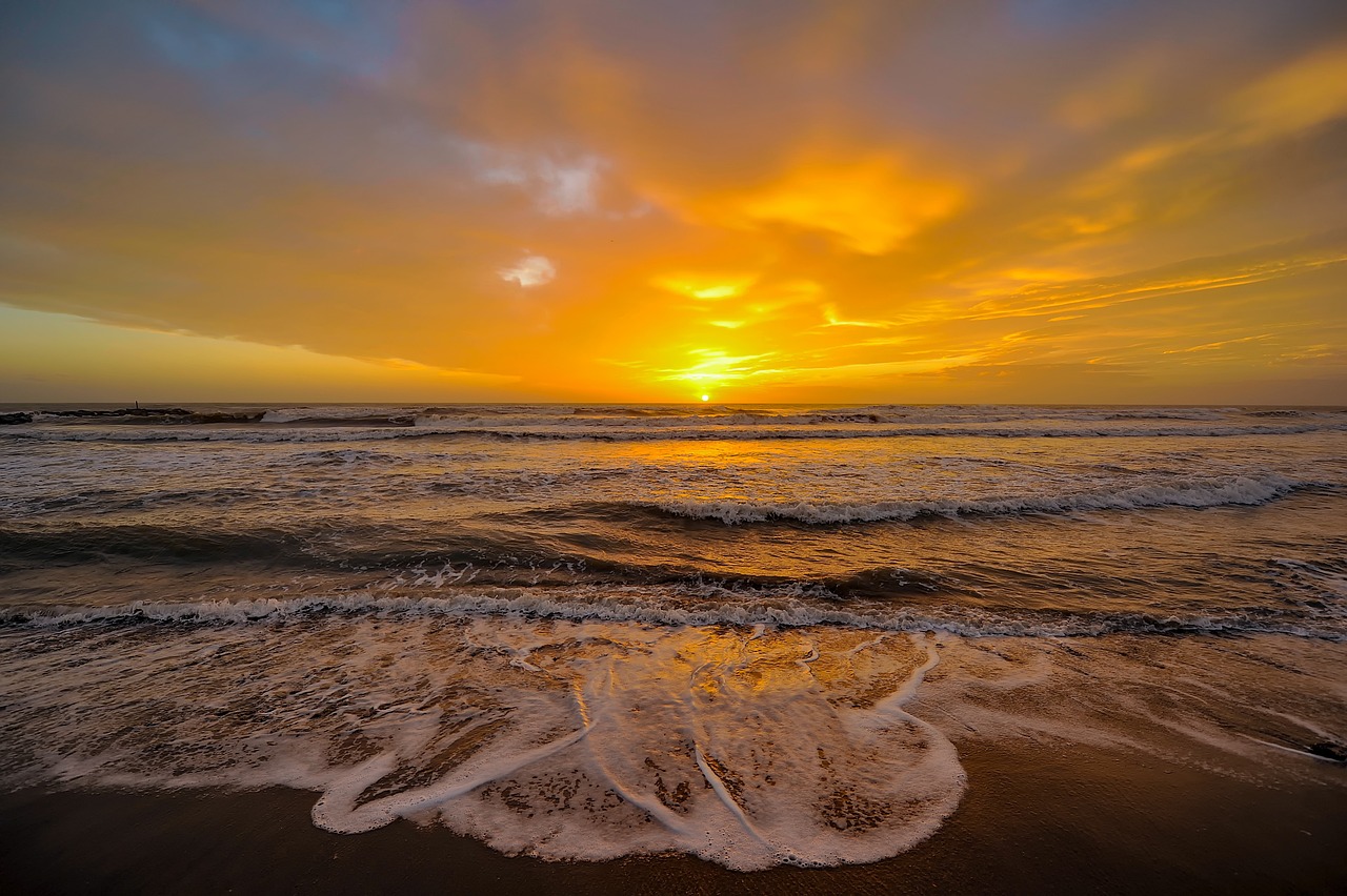 Fondo de Pantalla de pixabay_6387462.jpg