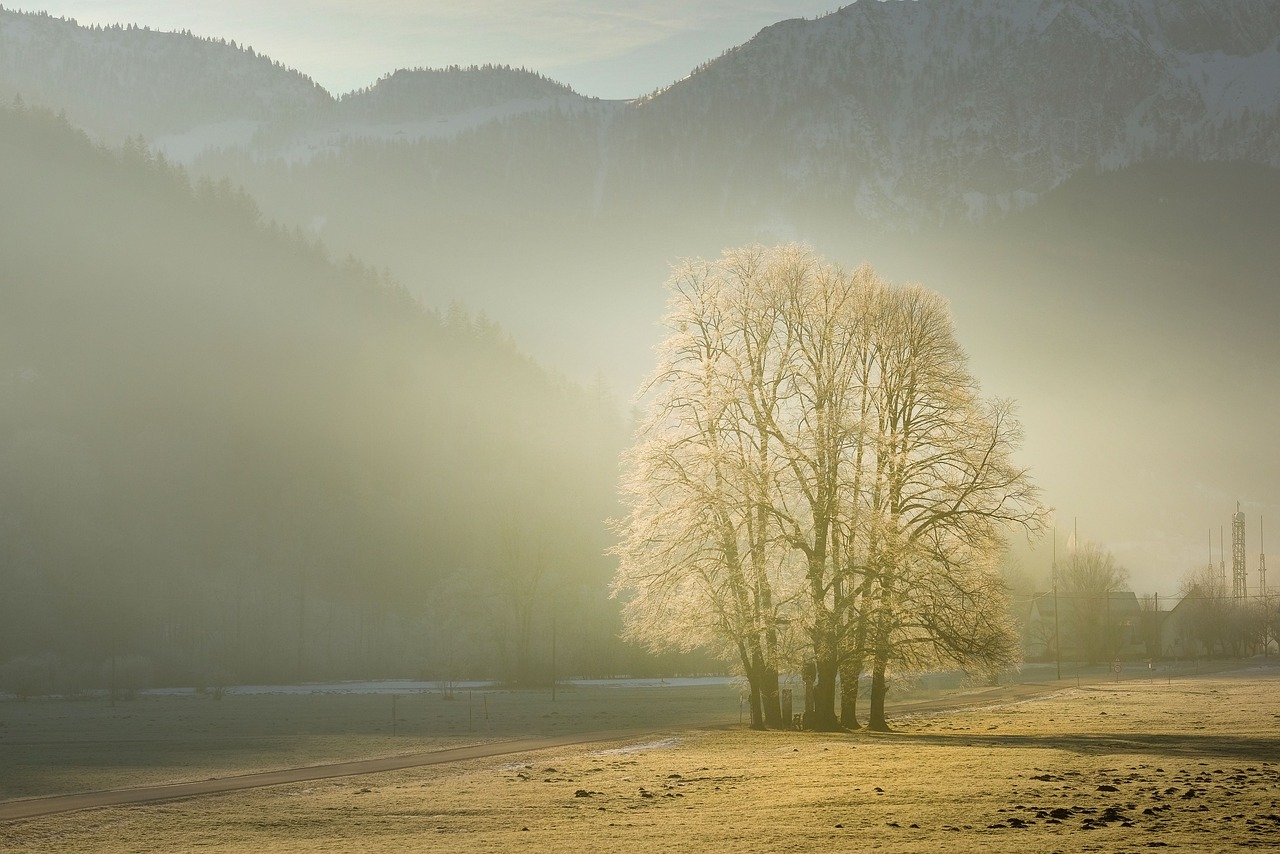 Fondo de Pantalla de pixabay_6964950.jpg
