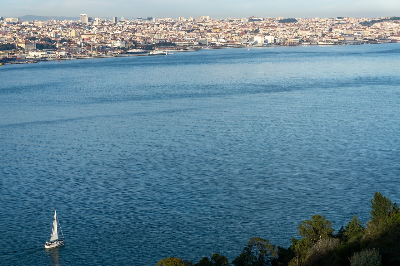 Fondo de Pantalla de pixabay_7010962.jpg