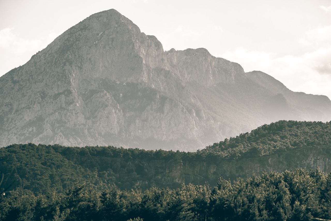 Fondo de Pantalla de pixabay_7101268.jpg