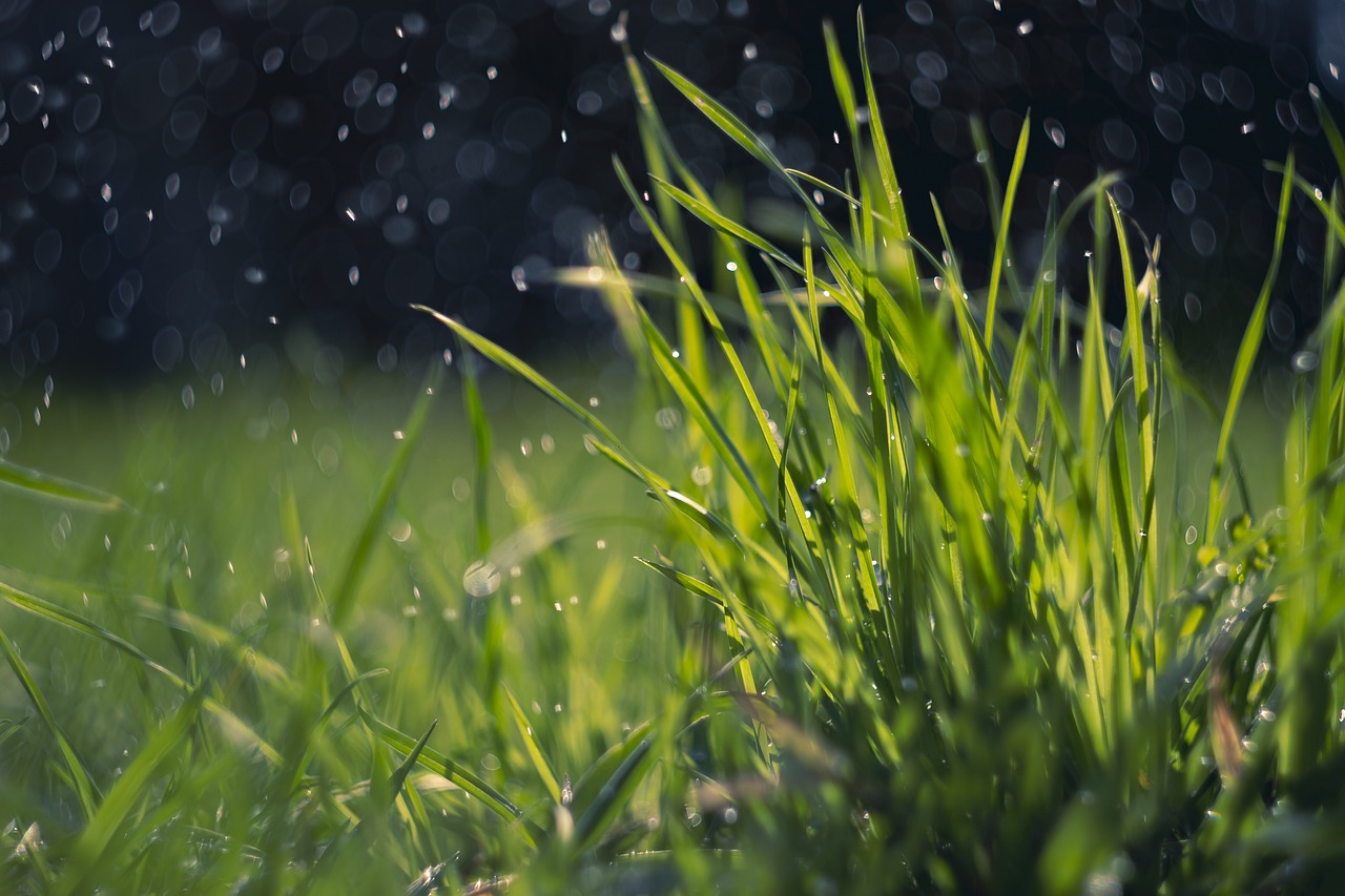 Fondo de Pantalla de pixabay_7167212.jpg