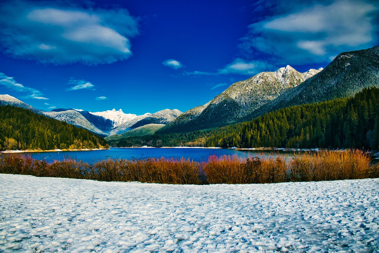 Fondo de Pantalla de pixabay_7489962.jpg