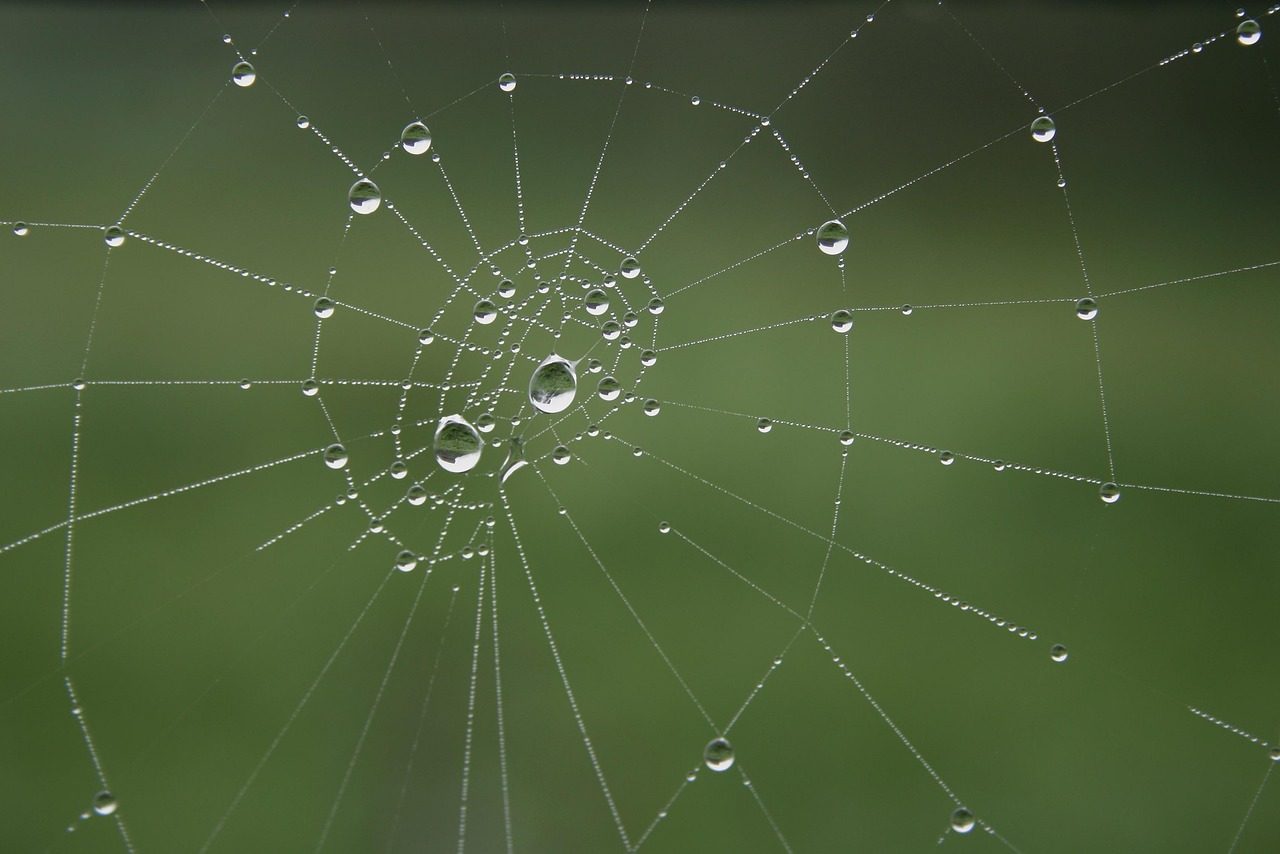 Fondo de Pantalla de pixabay_7672420.jpg