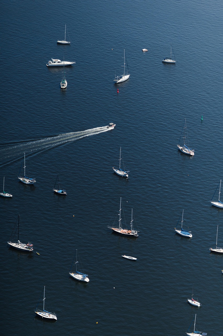 Fondo de Pantalla de pixabay_7724476.jpg