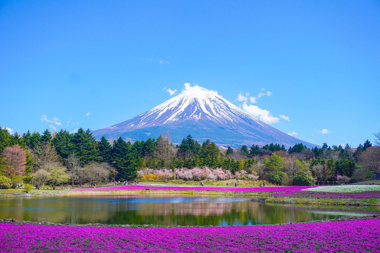 Fondo de Pantalla de pixabay_8010752.jpg