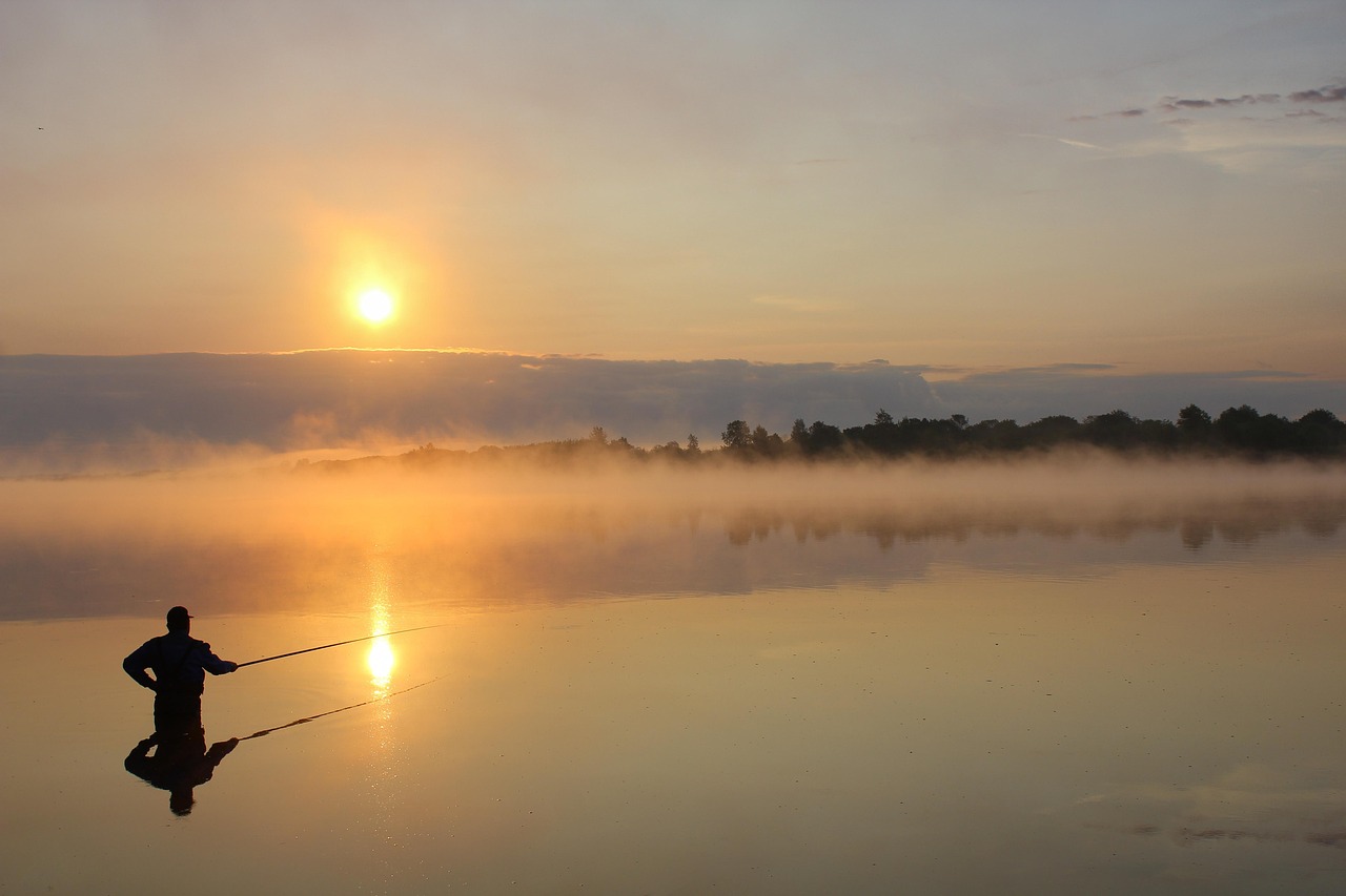 Fondo de Pantalla de pixabay_8039447.jpg