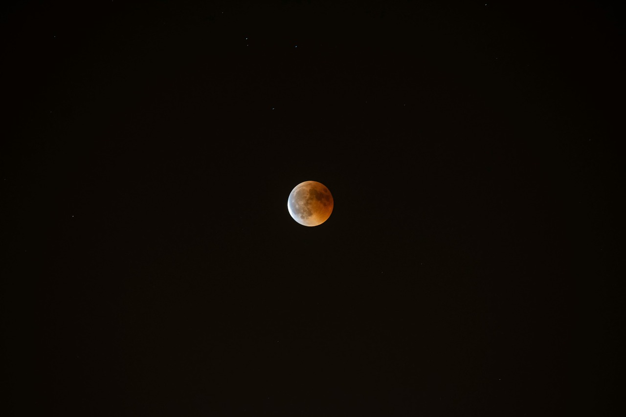 Fondo de Pantalla de pixabay_8267178.jpg