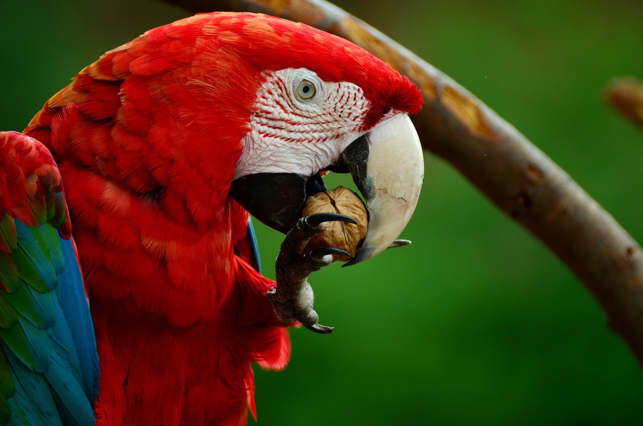 Fondo de Pantalla de pixabay_856574.jpg