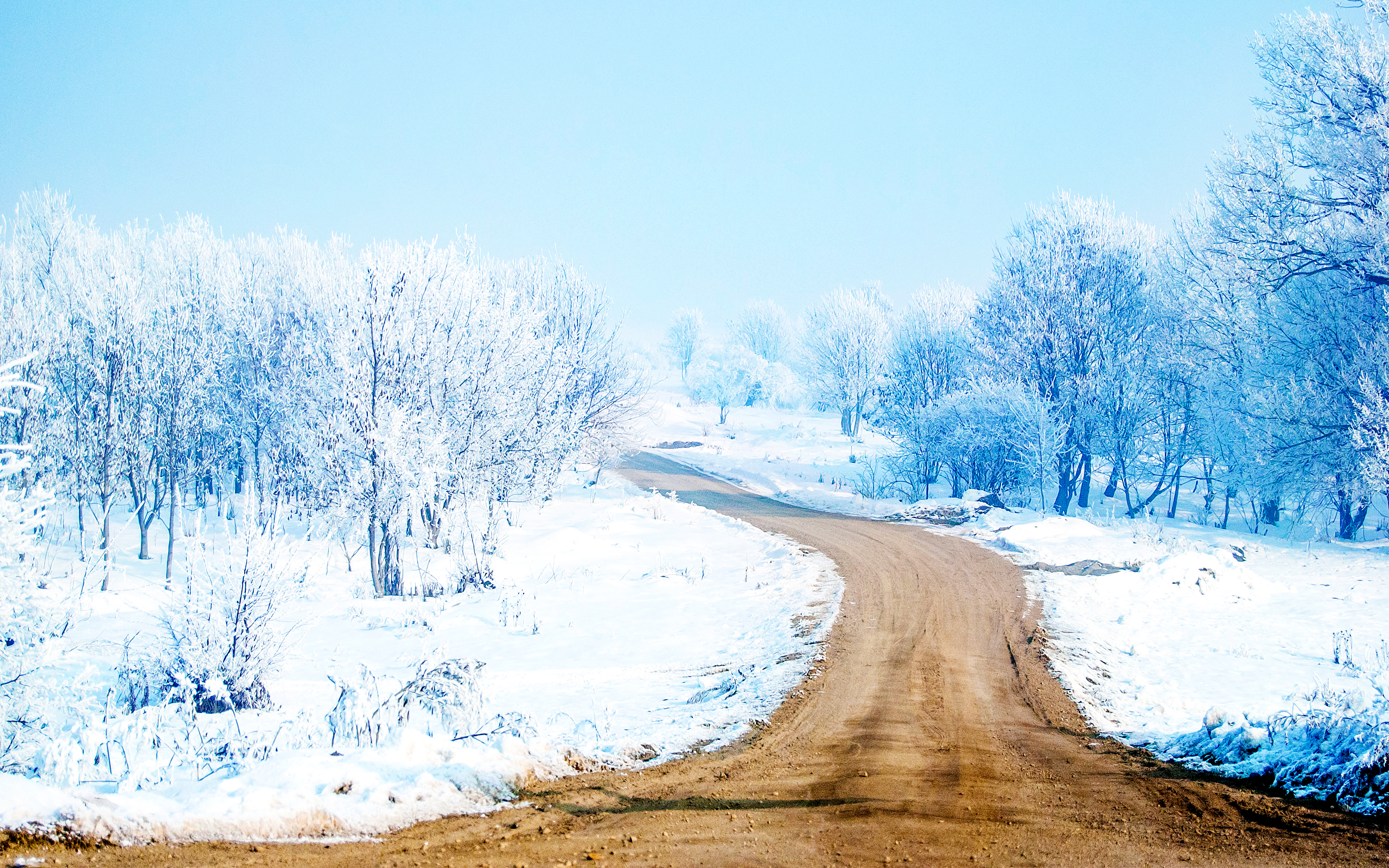 Snow way