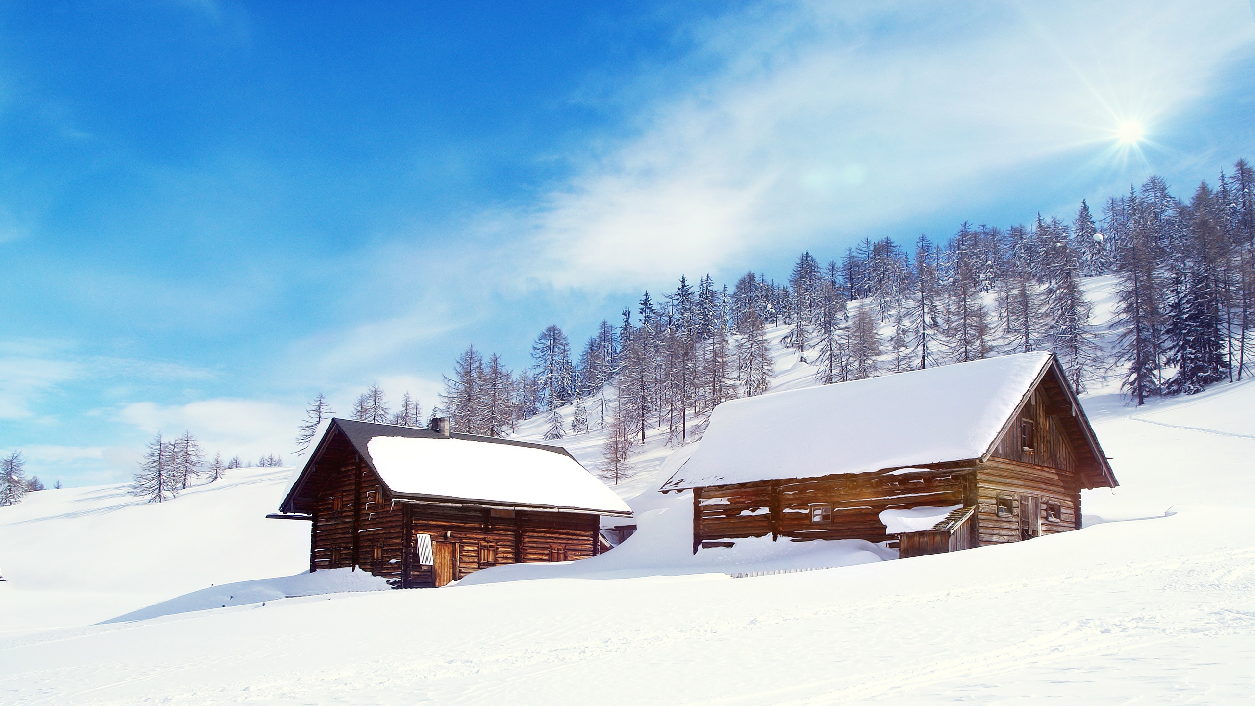 Snow wonderland