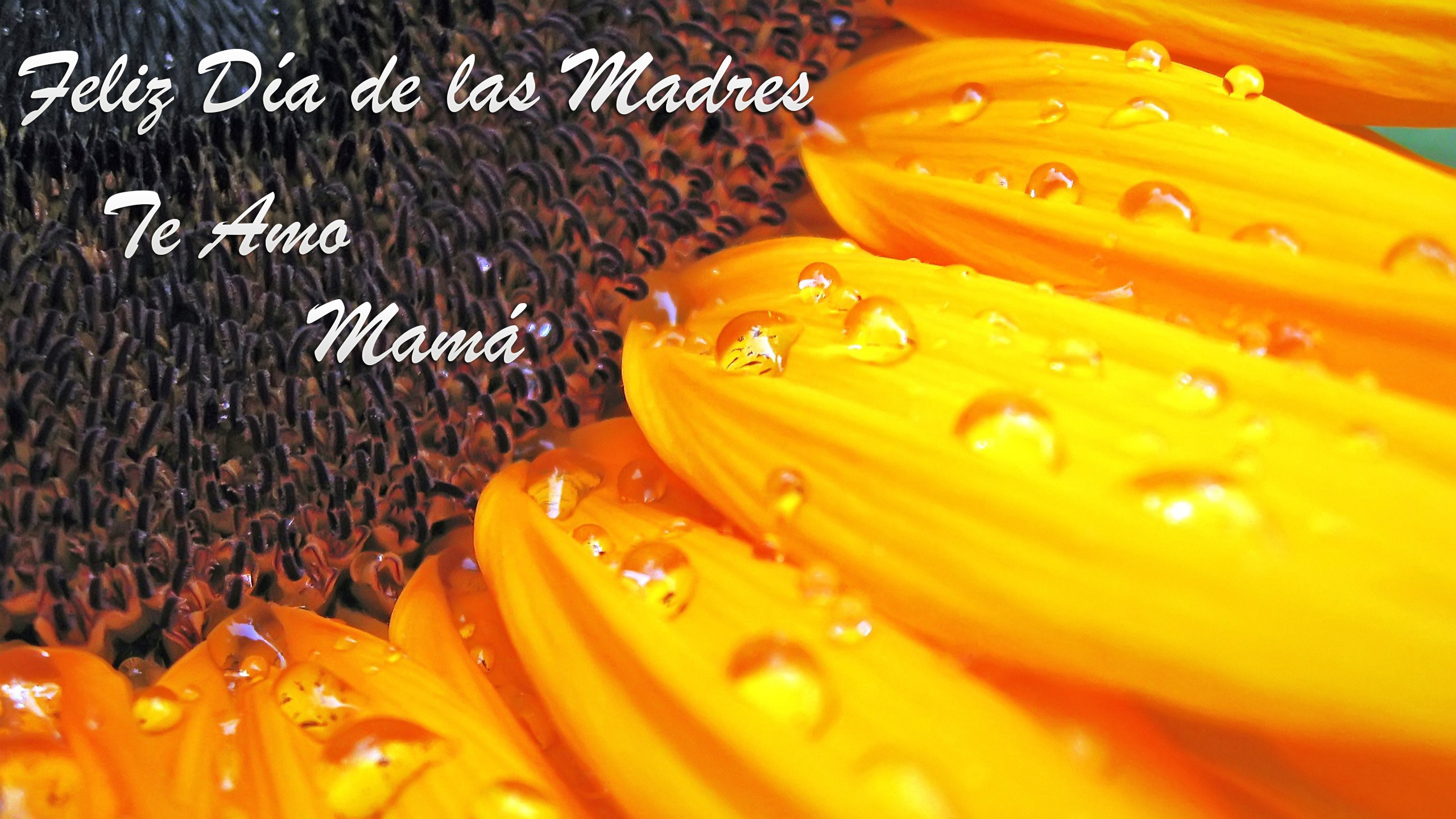 Te Amo Mama