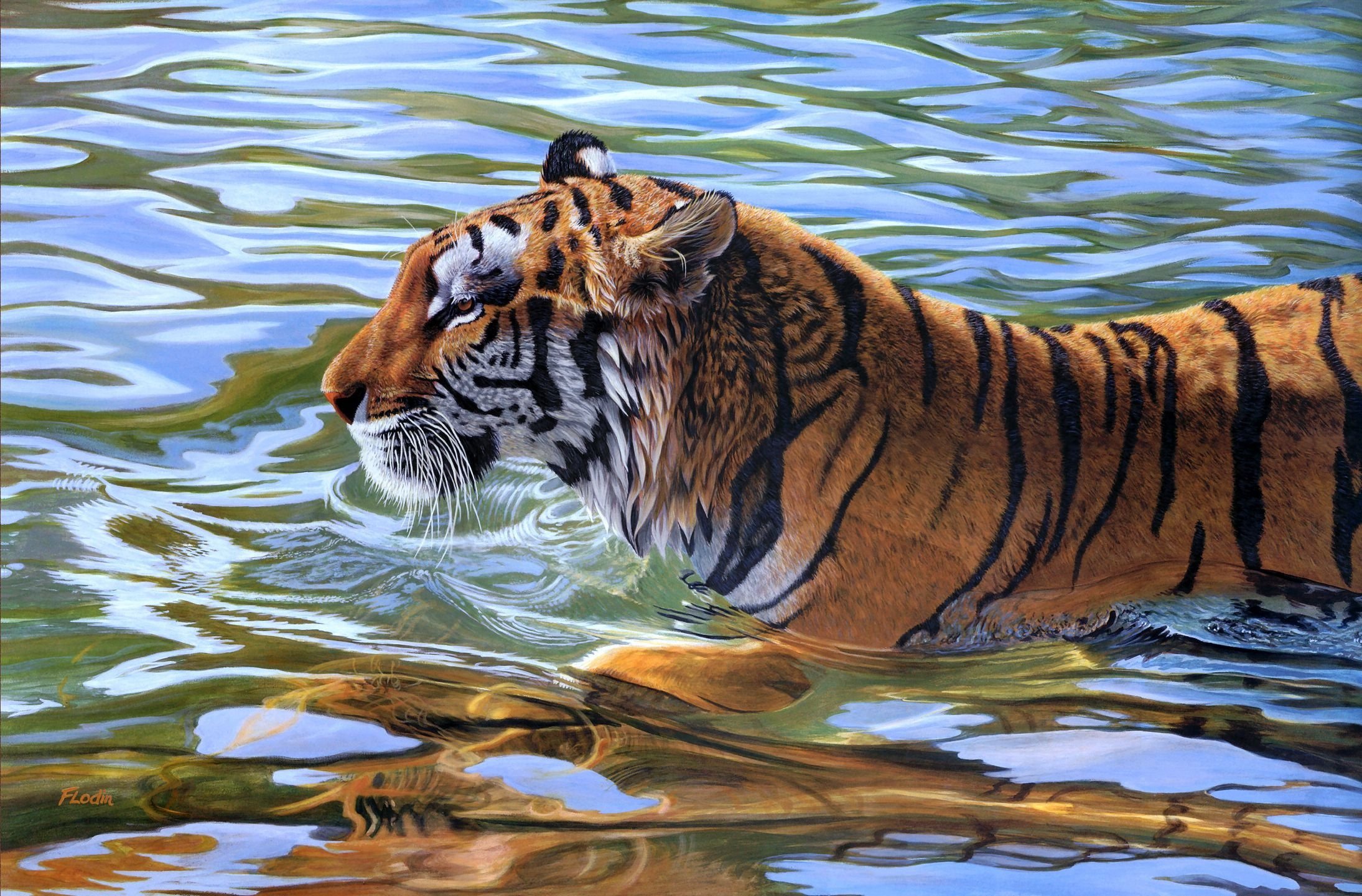 Tigre Nadando